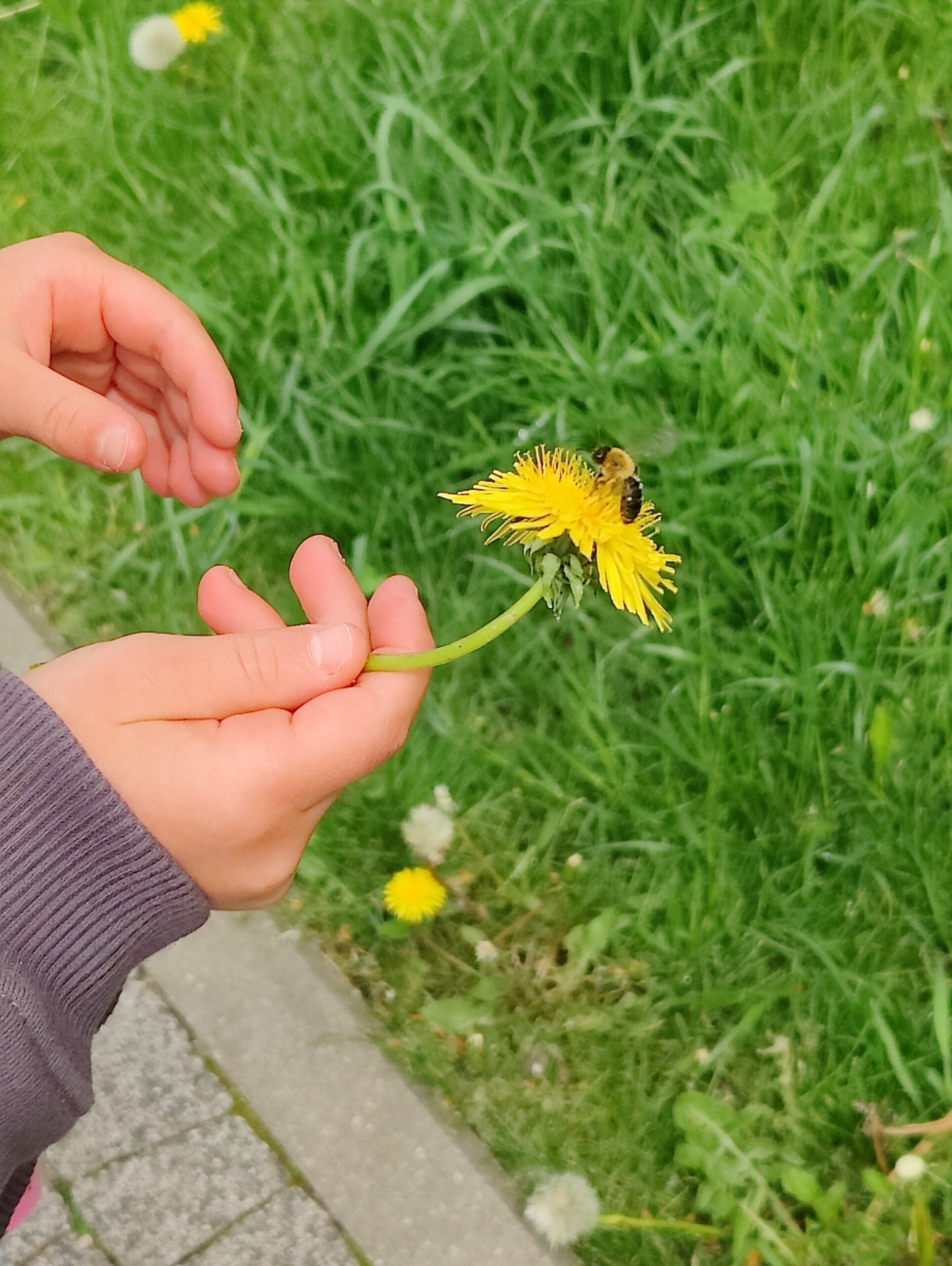 Jak wychować odważne dziecko?